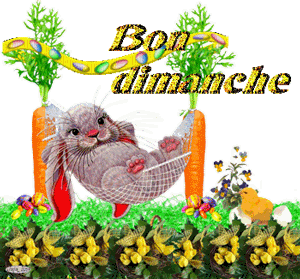 Gif animé Bon dimanche lapin